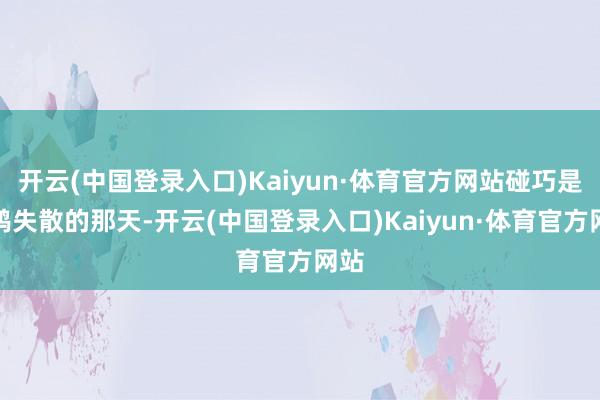 开云(中国登录入口)Kaiyun·体育官方网站碰巧是秦鸿失散的那天-开云(中国登录入口)Kaiyun·体育官方网站