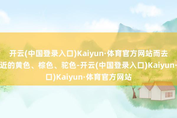 开云(中国登录入口)Kaiyun·体育官方网站而去领受与肤色接近的黄色、棕色、驼色-开云(中国登录入口)Kaiyun·体育官方网站