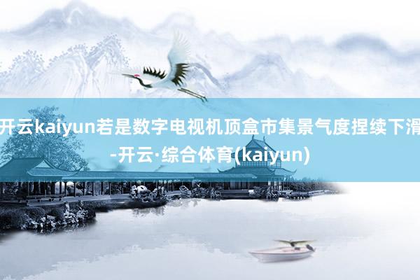 开云kaiyun若是数字电视机顶盒市集景气度捏续下滑-开云·综合体育(kaiyun)