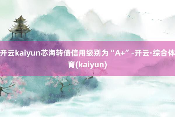 开云kaiyun芯海转债信用级别为“A+”-开云·综合体育(kaiyun)