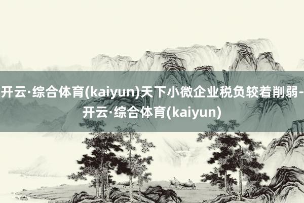 开云·综合体育(kaiyun)天下小微企业税负较着削弱-开云·综合体育(kaiyun)