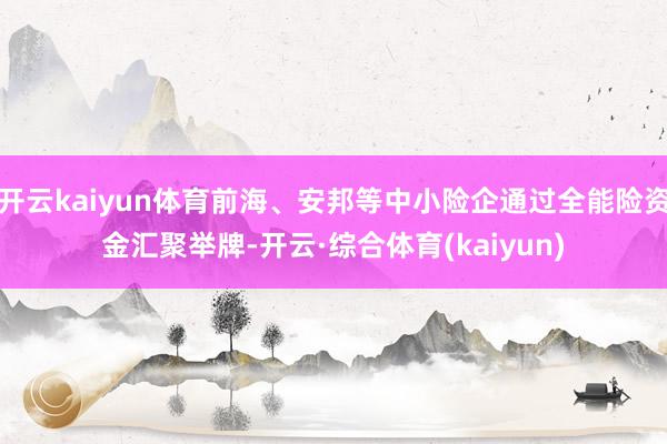 开云kaiyun体育前海、安邦等中小险企通过全能险资金汇聚举牌-开云·综合体育(kaiyun)